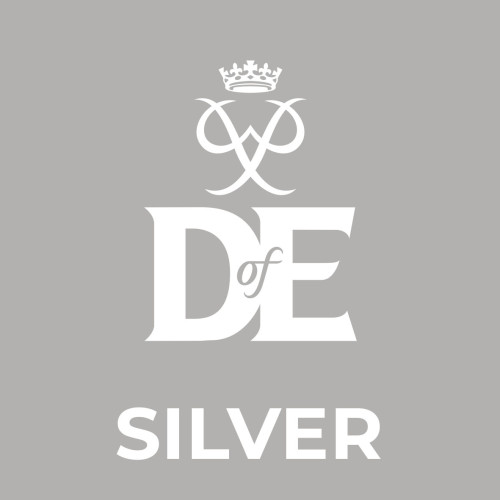 square_level_logo_-_SILVER